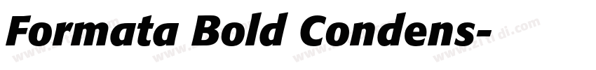 Formata Bold Condens字体转换